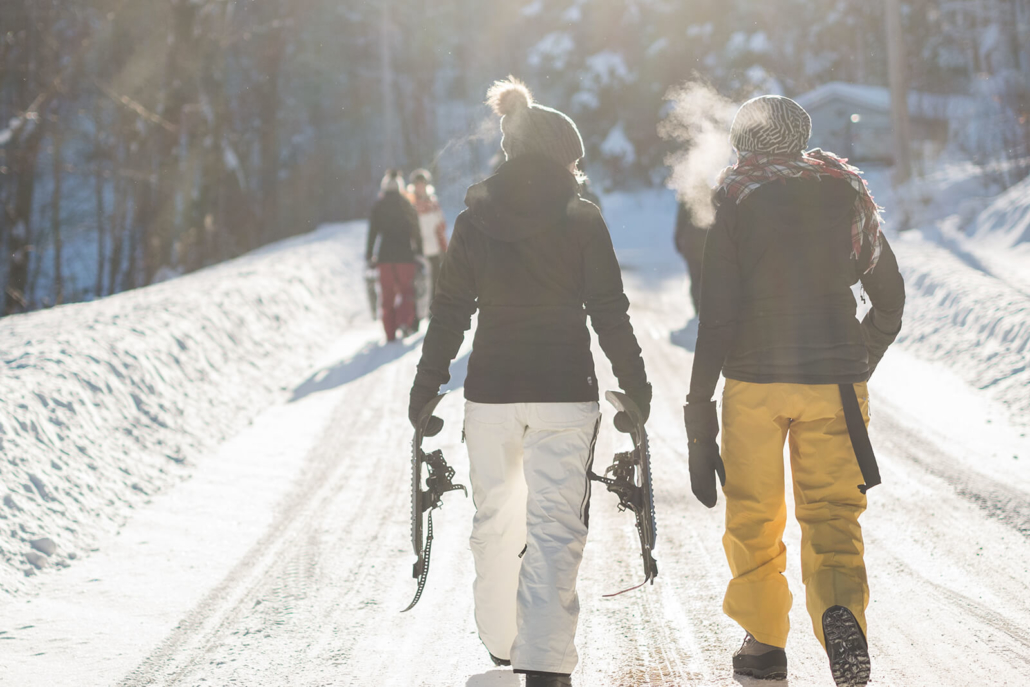 L'Hiver aux Mésanges