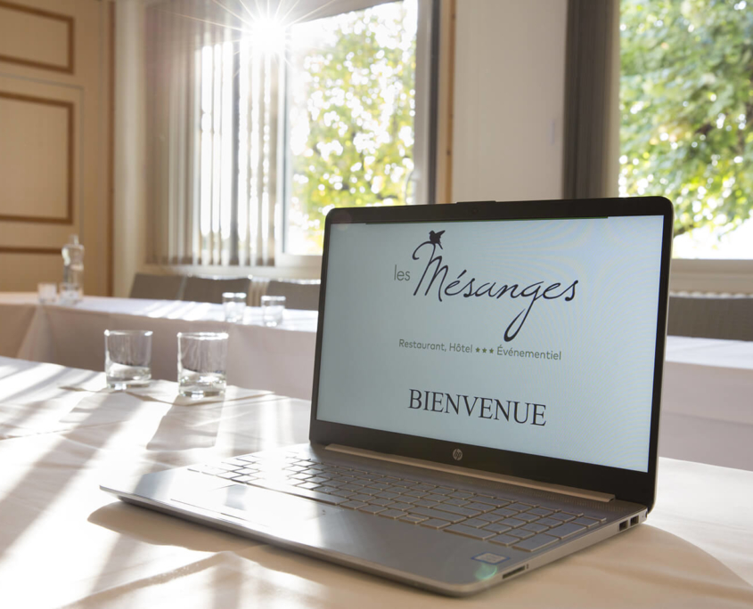 L'Hôtel Restaurant des Mésanges vous propose des offresBusiness et d'organiser vos événements professionnels
