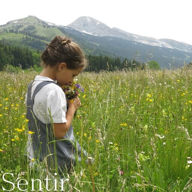 Isabelle Bronner - Sentir