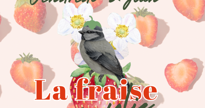 Affiche de la 3ème édition du Vendredi de La Mésange Toquée