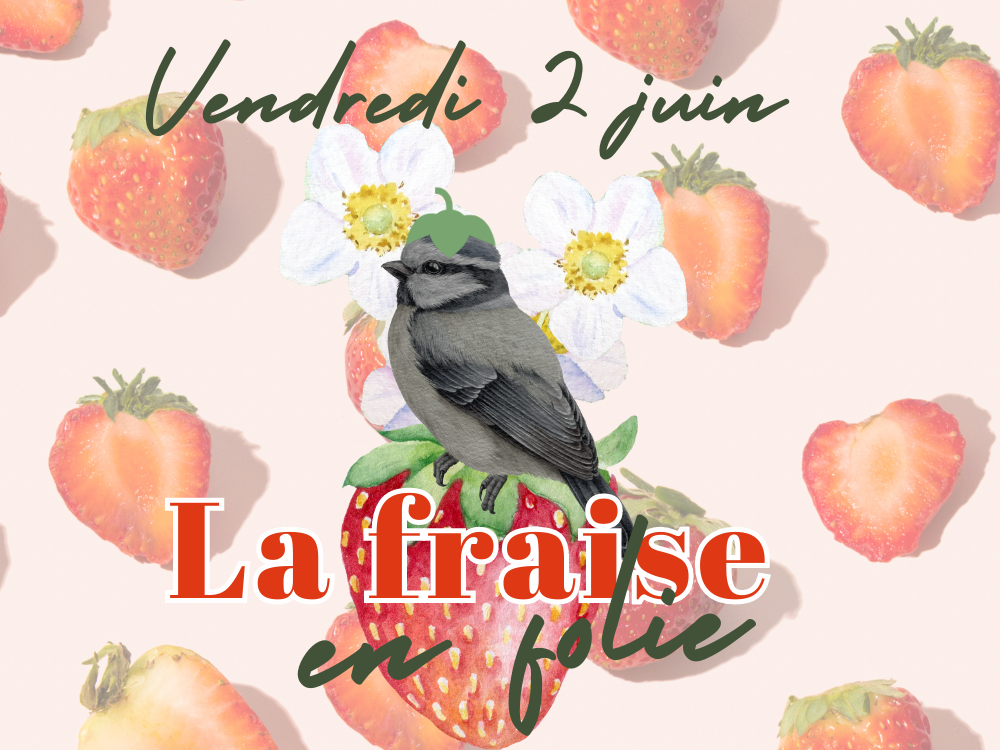 Affiche de la 3ème édition du Vendredi de La Mésange Toquée 