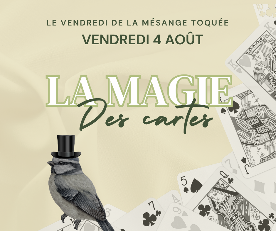 Le vendredi de la Mésange Toquée : La magie des cartes