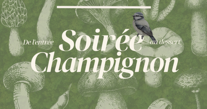 Le vendredi de la Mésange Toquée : soirée champignon