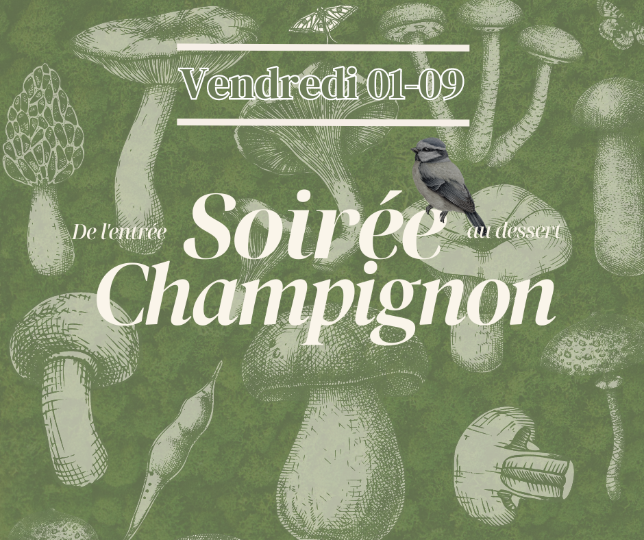 Le vendredi de la Mésange Toquée : soirée champignon