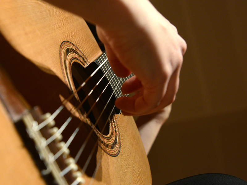 Chanteur guitariste : ambiance chill à la mésange toquée